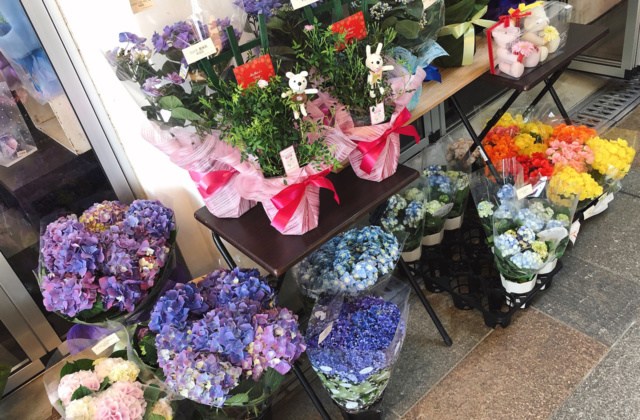 豊岡市千代田町にある花屋「こしの花店 KOSHINO FLOWER SHOP」で母の日のプレゼントを選んだよ！
